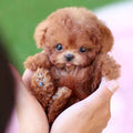 Robot Puppy Interactive Toy Realistic Puppy for Kids