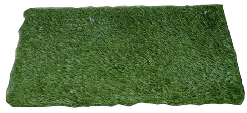 Indoor Grass